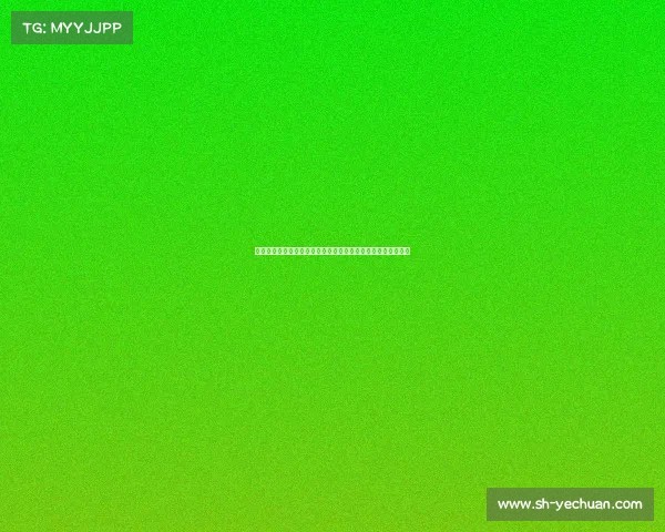 成都金港赛道国际赛车盛典激情启幕各路车手角逐巅峰荣耀时刻